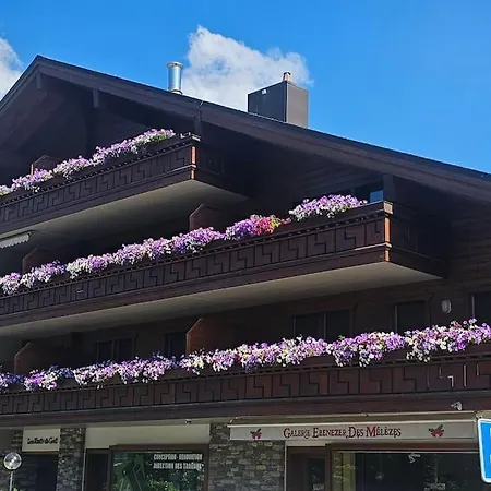 Charming Downtown 公寓 朗斯