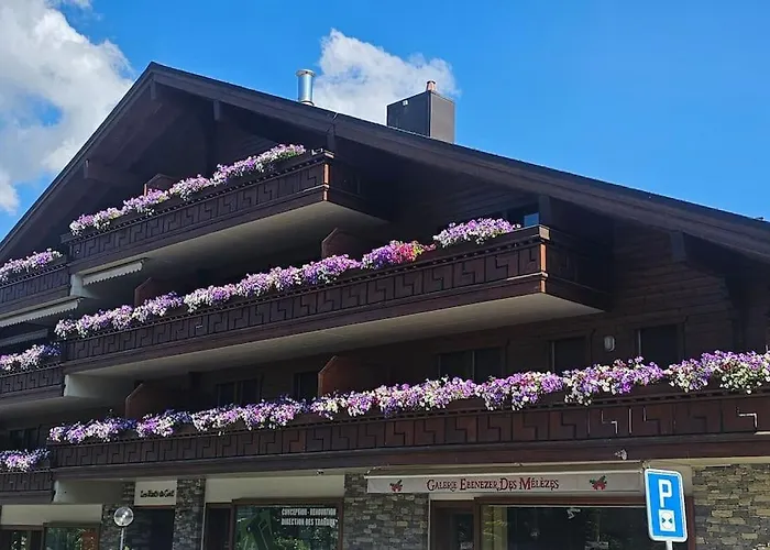 Charming Downtown 公寓 朗斯